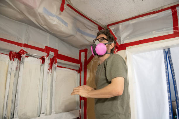 Best Basement Mold Removal  in USA